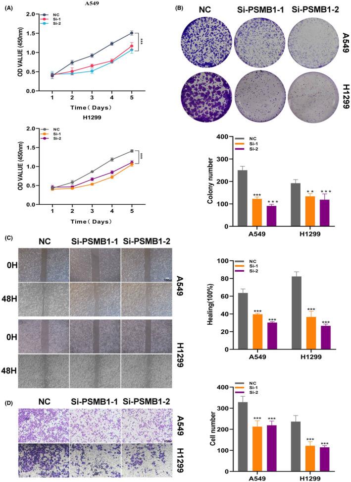 https://cdn.ncbi.nlm.nih.gov/pmc/blobs/a361/11149493/487848ebae6c/JCMM-28-e18408-g004.jpg