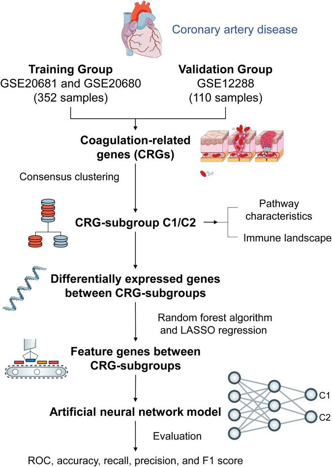 https://cdn.ncbi.nlm.nih.gov/pmc/blobs/a364/10941628/8bef556cca80/fgene-15-1351774-g001.jpg