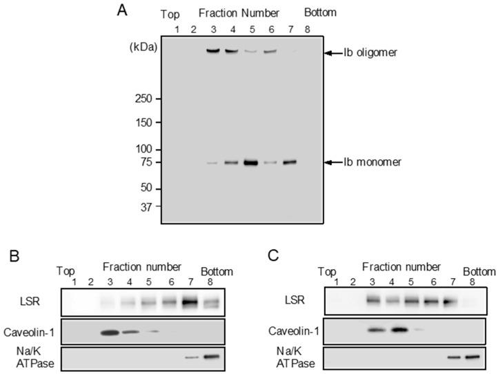 https://cdn.ncbi.nlm.nih.gov/pmc/blobs/a364/6215307/55ccadd79d42/toxins-10-00405-g003.jpg