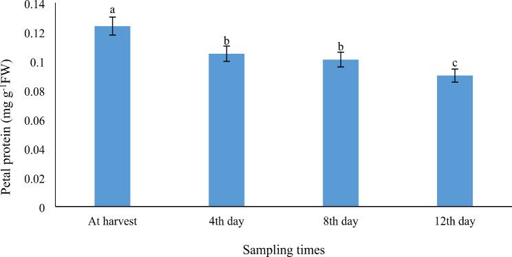 https://cdn.ncbi.nlm.nih.gov/pmc/blobs/a365/11520382/3c8e873c908e/12870_2024_5725_Fig4_HTML.jpg
