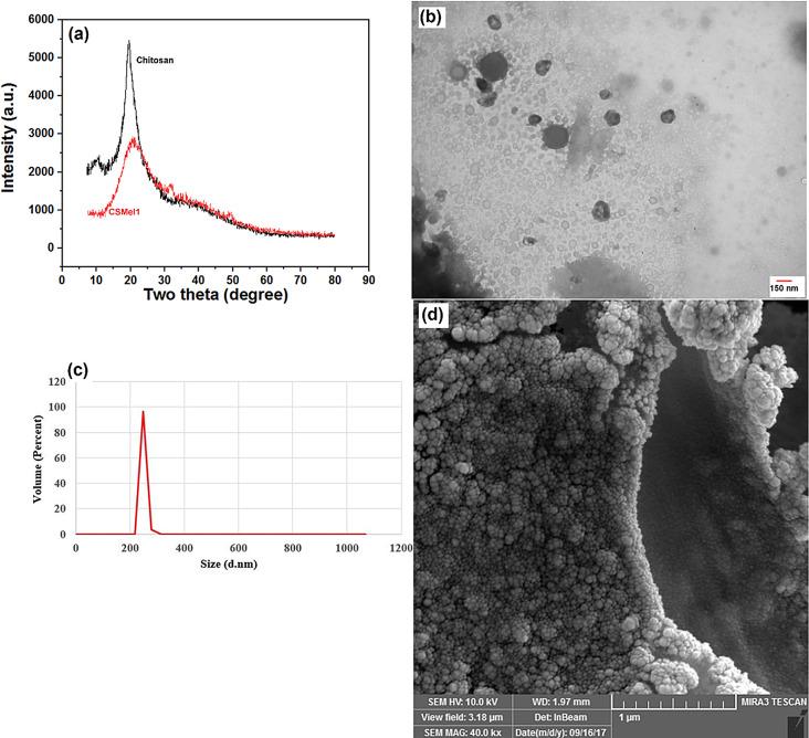 https://cdn.ncbi.nlm.nih.gov/pmc/blobs/a365/11520382/8adbfd43b575/12870_2024_5725_Fig16_HTML.jpg