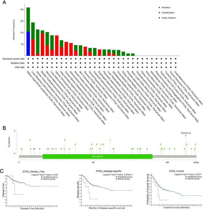https://cdn.ncbi.nlm.nih.gov/pmc/blobs/a366/12287076/d30ece2ec9e9/fimmu-16-1604179-g005.jpg