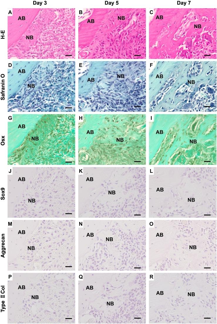 https://cdn.ncbi.nlm.nih.gov/pmc/blobs/a368/8965168/29a0e80dd85c/gr3.jpg