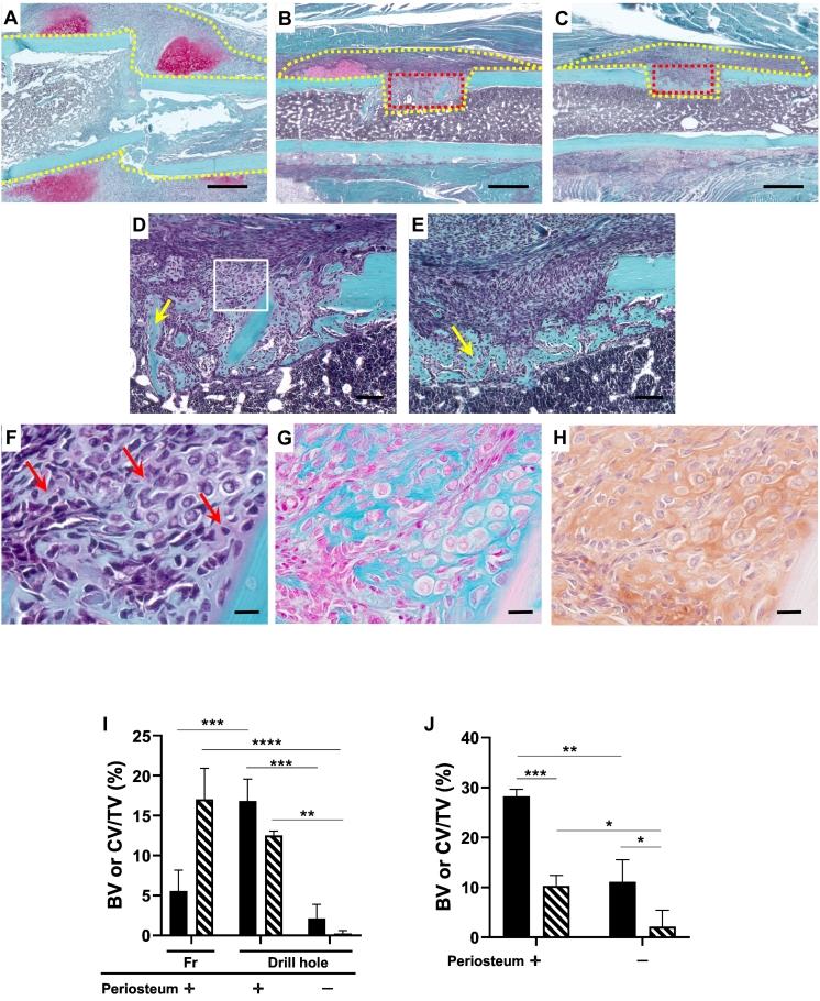 https://cdn.ncbi.nlm.nih.gov/pmc/blobs/a368/8965168/b79b414aa80c/gr6.jpg