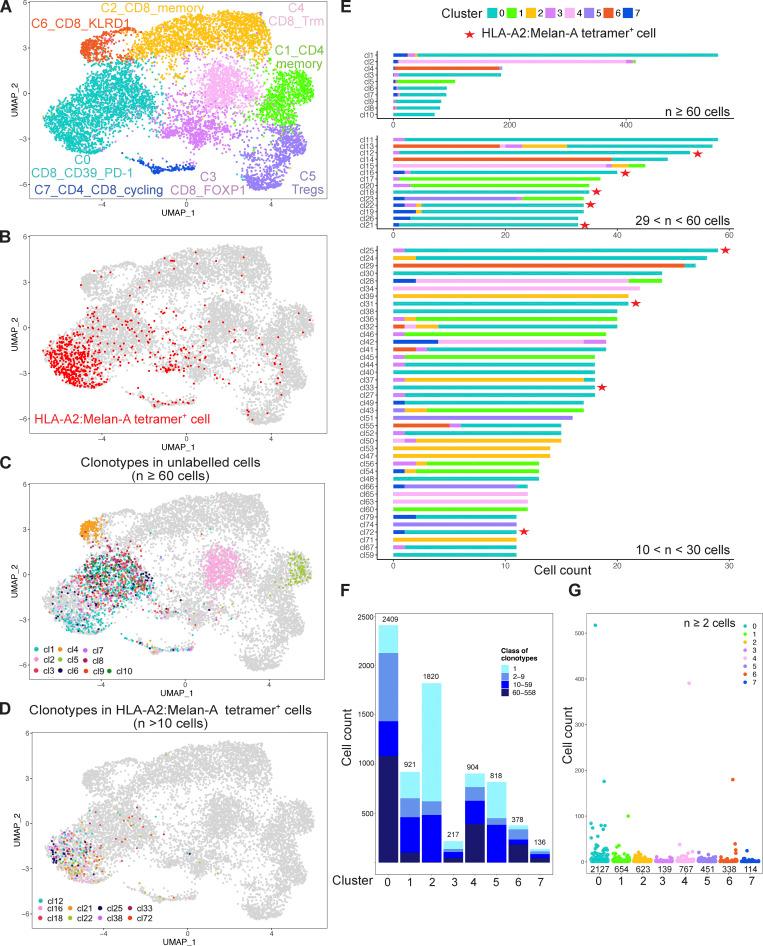 https://cdn.ncbi.nlm.nih.gov/pmc/blobs/a36b/10986814/25288d439b51/JEM_20232094_FigS2.jpg
