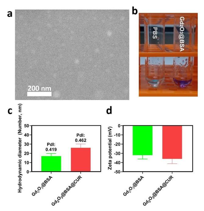 https://cdn.ncbi.nlm.nih.gov/pmc/blobs/a36c/11304937/be68679a5baa/12896_2024_877_Fig1_HTML.jpg