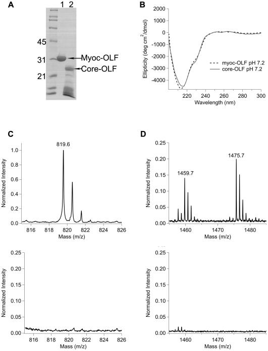 https://cdn.ncbi.nlm.nih.gov/pmc/blobs/a36f/3026022/8784ce3f5406/pone.0016347.g004.jpg