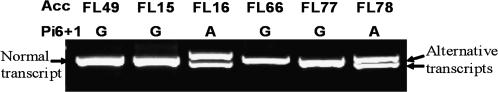 https://cdn.ncbi.nlm.nih.gov/pmc/blobs/a372/2657548/35288d2cd5c4/jexboterp010f03_ht.jpg