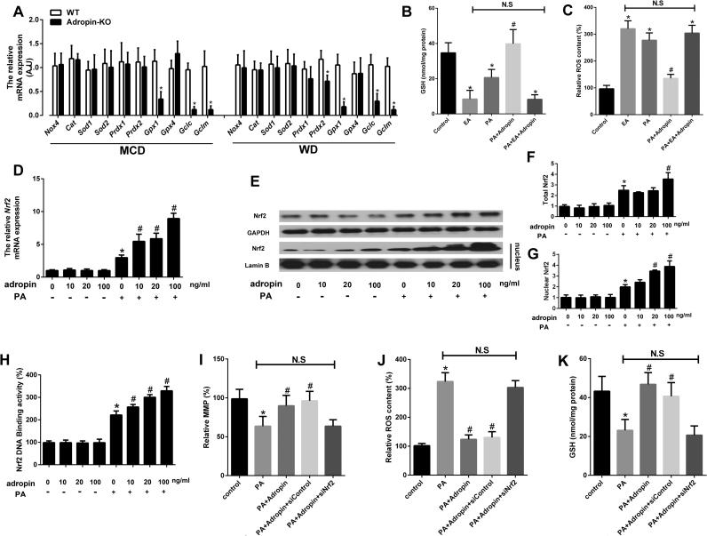 https://cdn.ncbi.nlm.nih.gov/pmc/blobs/a372/6351233/141a3a10c25d/gr5.jpg
