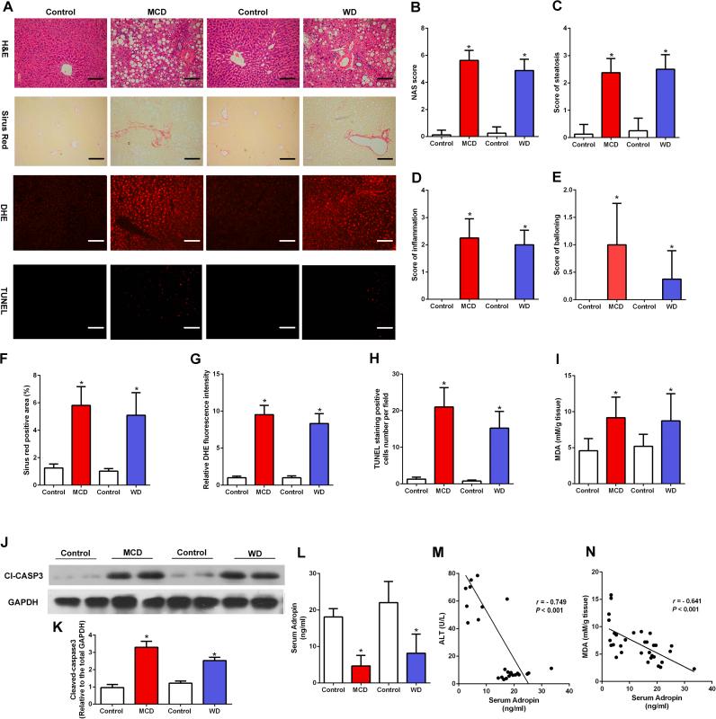 https://cdn.ncbi.nlm.nih.gov/pmc/blobs/a372/6351233/24d79f968348/gr1.jpg