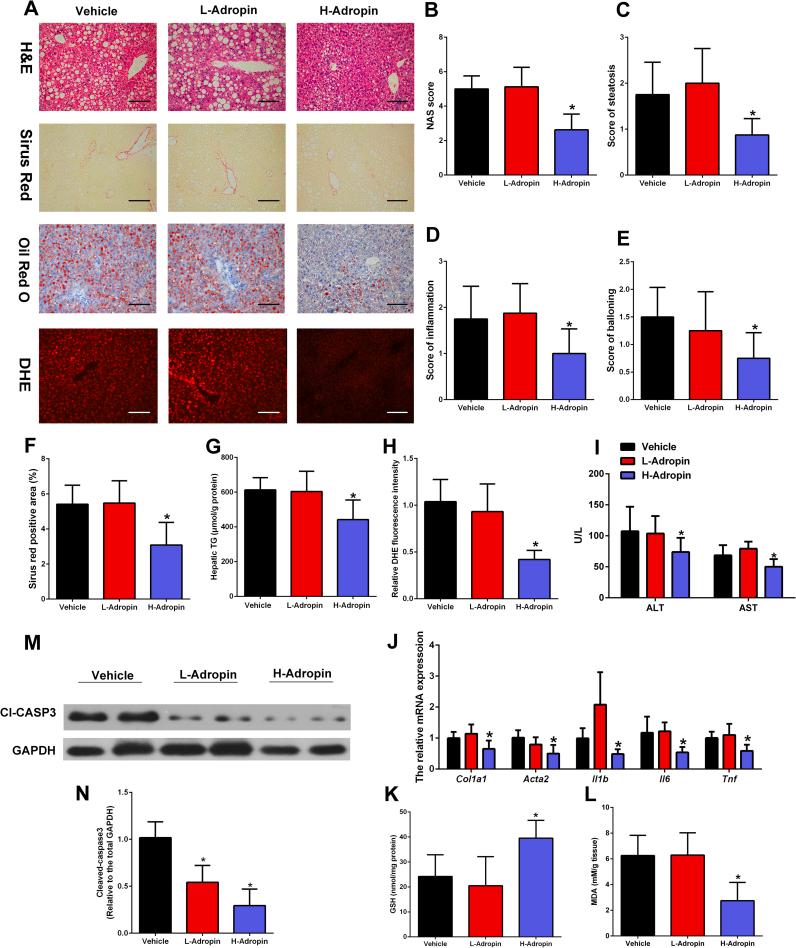 https://cdn.ncbi.nlm.nih.gov/pmc/blobs/a372/6351233/99c3a4f5d46f/gr4.jpg