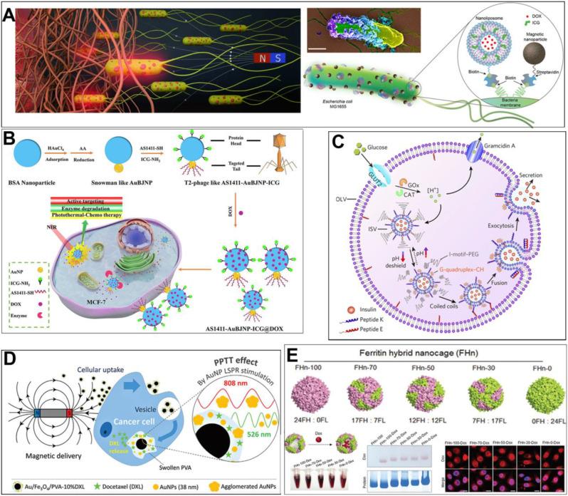 https://cdn.ncbi.nlm.nih.gov/pmc/blobs/a373/11884119/5a9e18aaf740/12951_2025_3254_Fig2_HTML.jpg