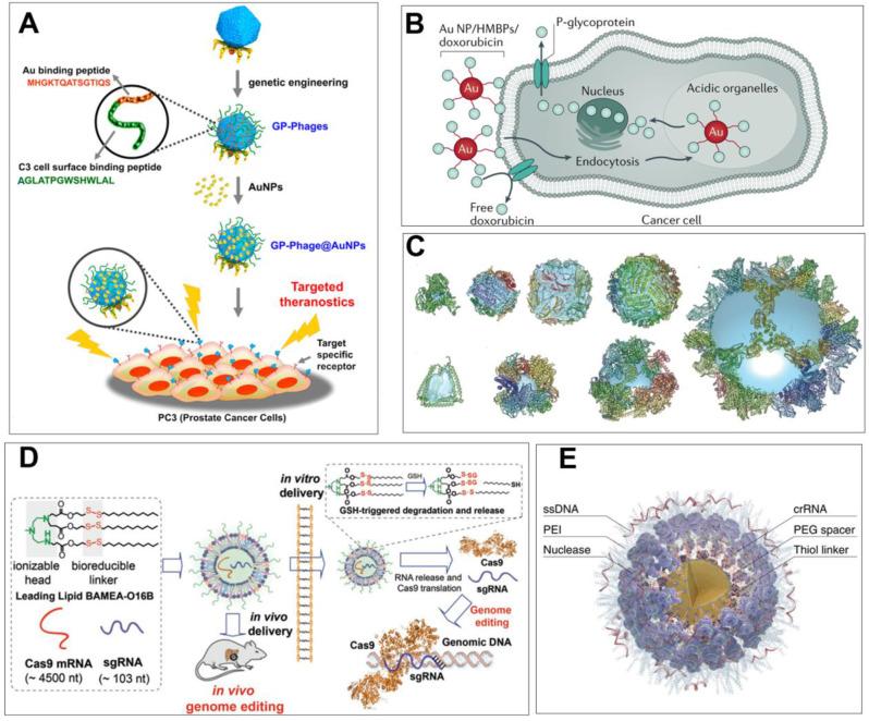 https://cdn.ncbi.nlm.nih.gov/pmc/blobs/a373/11884119/6f9b5aa38a4d/12951_2025_3254_Fig3_HTML.jpg