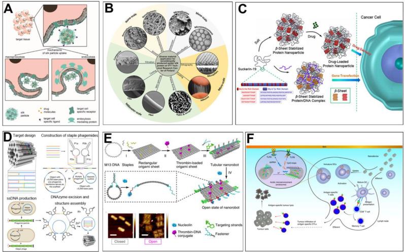 https://cdn.ncbi.nlm.nih.gov/pmc/blobs/a373/11884119/b845317d4587/12951_2025_3254_Fig4_HTML.jpg
