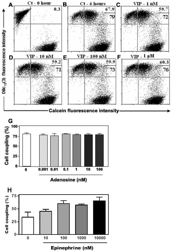 https://cdn.ncbi.nlm.nih.gov/pmc/blobs/a373/2823718/d073a4ad45b3/1471-2121-11-3-3.jpg