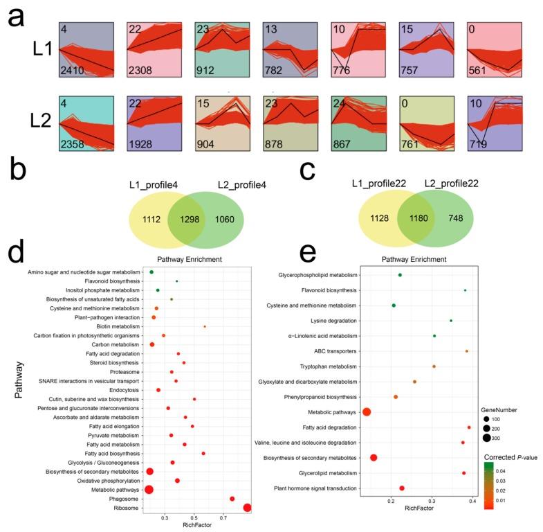 https://cdn.ncbi.nlm.nih.gov/pmc/blobs/a373/6410125/83e905dbb9dc/genes-10-00119-g003.jpg