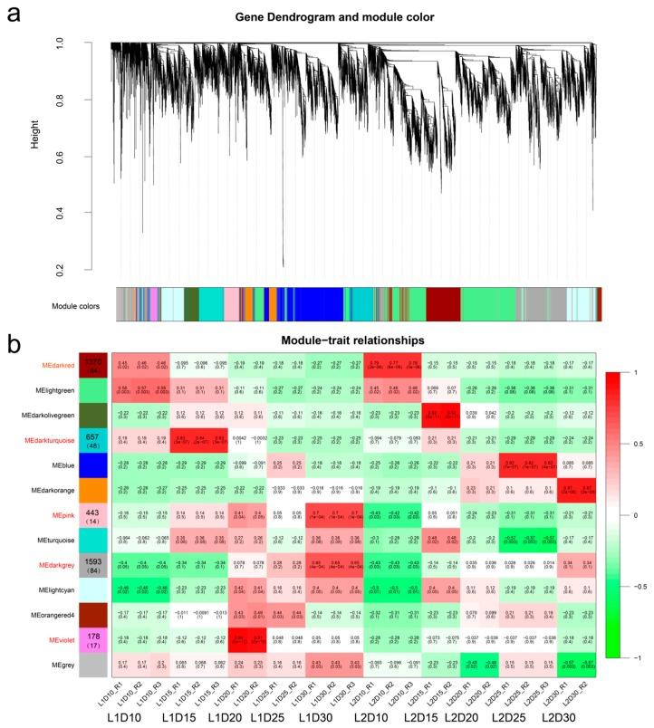 https://cdn.ncbi.nlm.nih.gov/pmc/blobs/a373/6410125/9dda6b281b91/genes-10-00119-g006.jpg