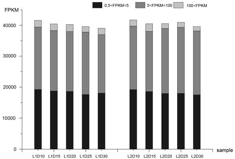 https://cdn.ncbi.nlm.nih.gov/pmc/blobs/a373/6410125/c49db161c230/genes-10-00119-g001.jpg