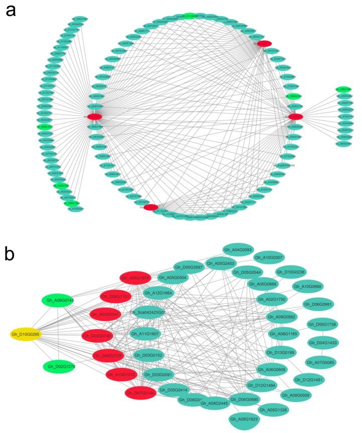 https://cdn.ncbi.nlm.nih.gov/pmc/blobs/a373/6410125/f85235739869/genes-10-00119-g008.jpg