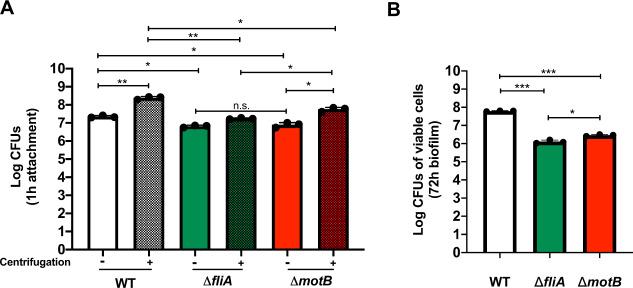 https://cdn.ncbi.nlm.nih.gov/pmc/blobs/a374/7695850/1e478c31c719/41522_2020_167_Fig4_HTML.jpg