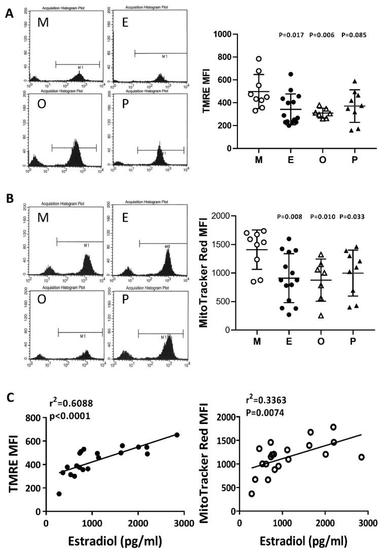 https://cdn.ncbi.nlm.nih.gov/pmc/blobs/a377/7279321/2a8bcfa07e17/ijms-21-03592-g006.jpg