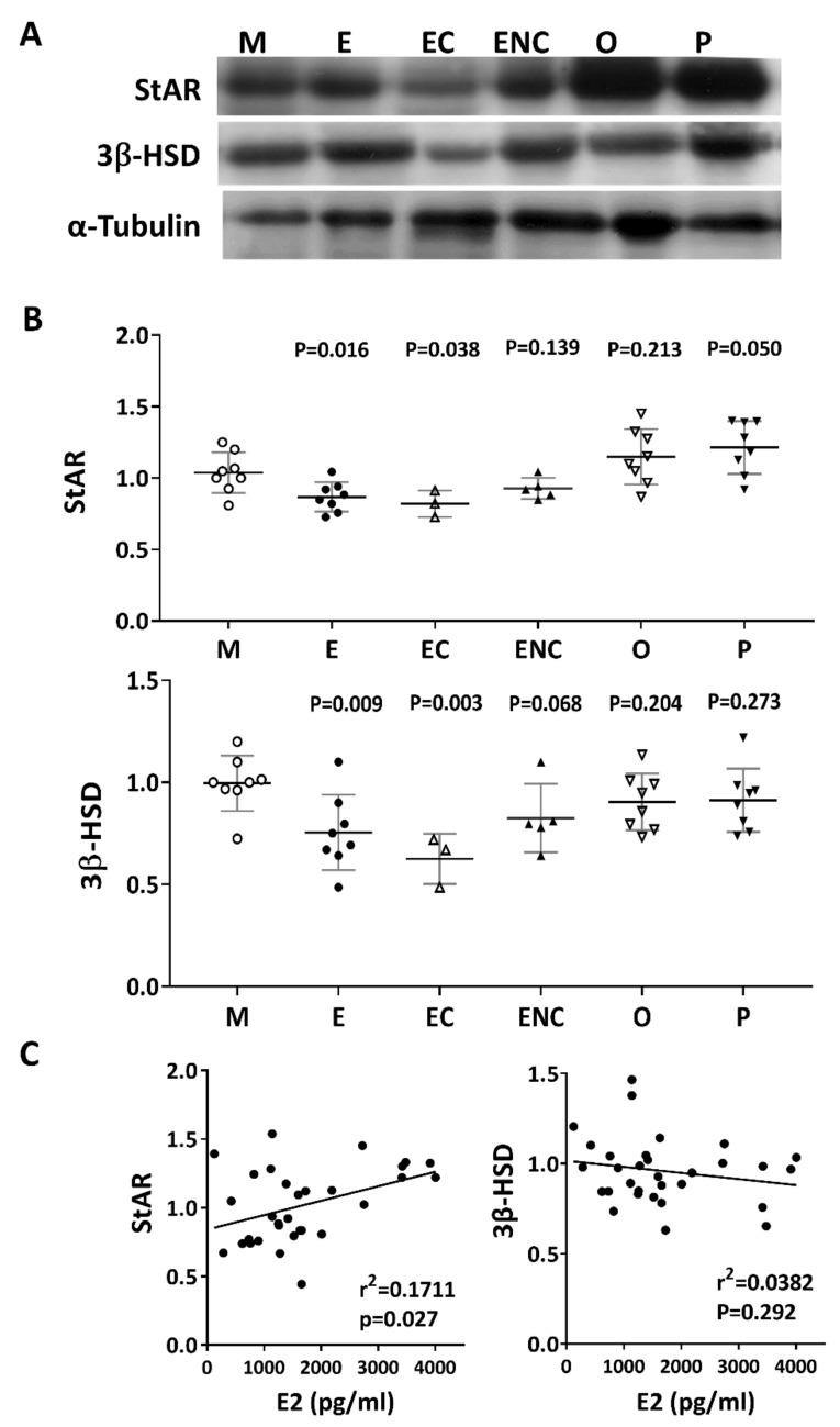 https://cdn.ncbi.nlm.nih.gov/pmc/blobs/a377/7279321/ce53a95fdc77/ijms-21-03592-g009.jpg