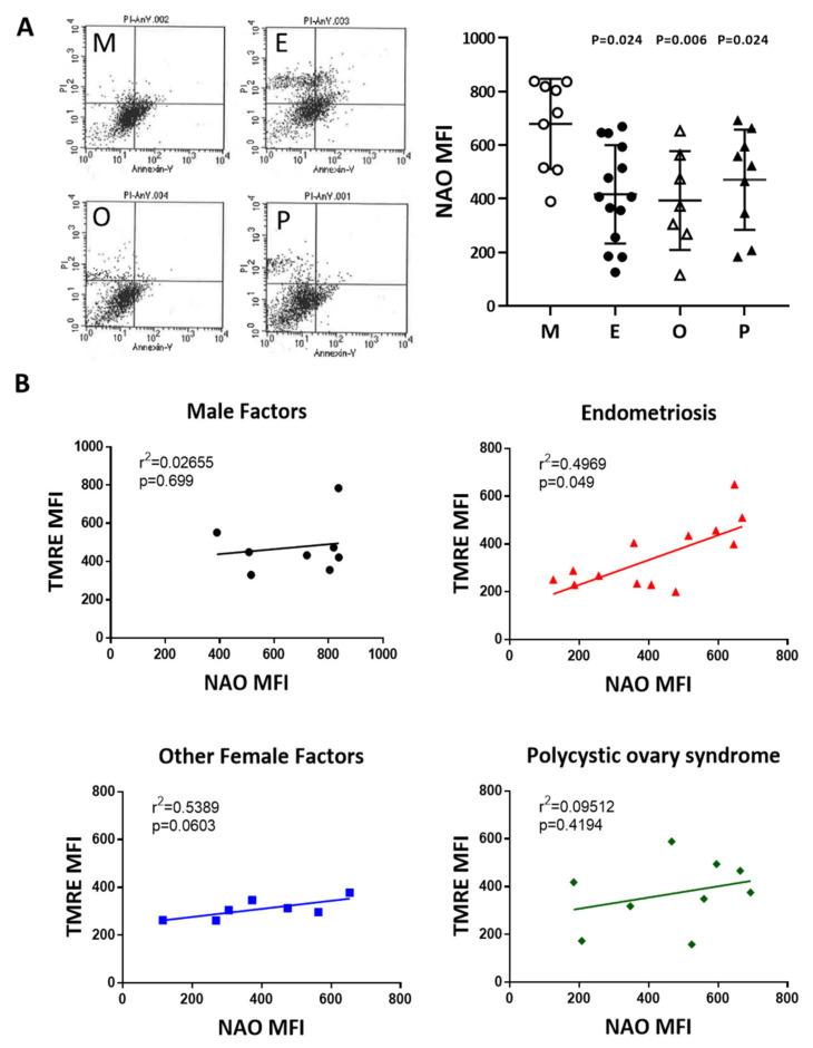 https://cdn.ncbi.nlm.nih.gov/pmc/blobs/a377/7279321/f7a1f65aa236/ijms-21-03592-g007.jpg