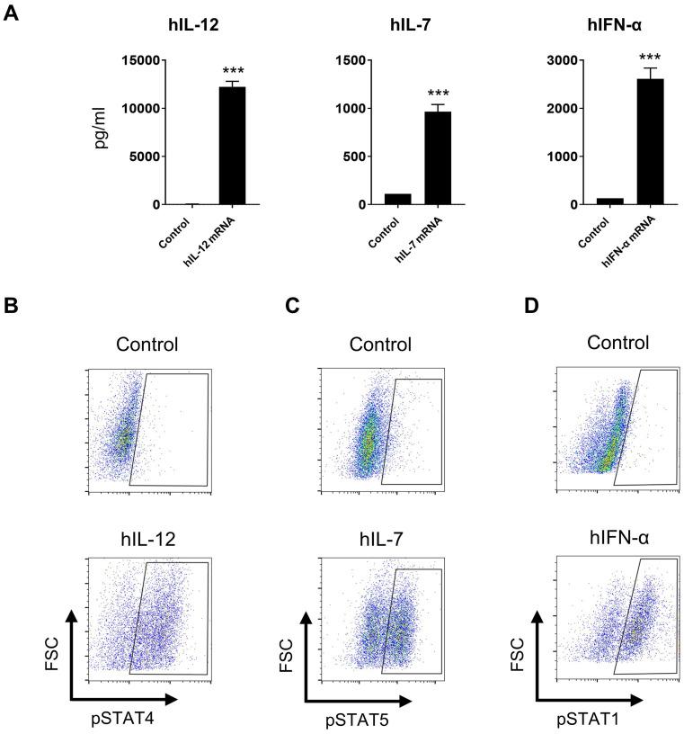 https://cdn.ncbi.nlm.nih.gov/pmc/blobs/a37a/11406011/6f47aa4b4613/fimmu-15-1455019-g006.jpg