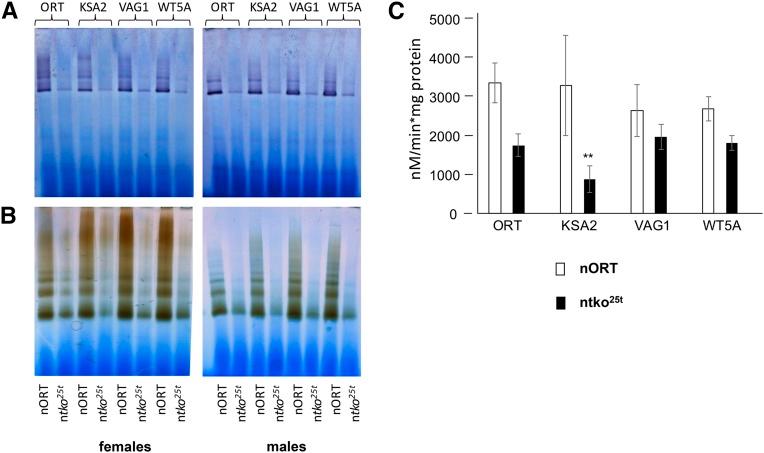 https://cdn.ncbi.nlm.nih.gov/pmc/blobs/a37a/6643882/98a99b4a3373/2225f5.jpg