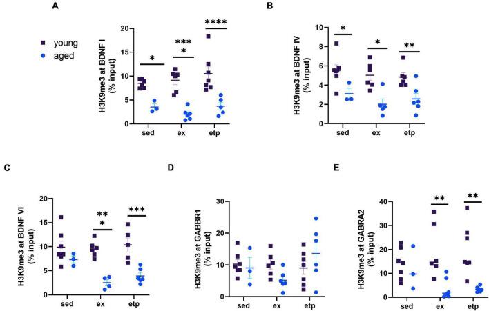 https://cdn.ncbi.nlm.nih.gov/pmc/blobs/a37b/8712855/c2a0e9bdce95/fnagi-13-798297-g006.jpg