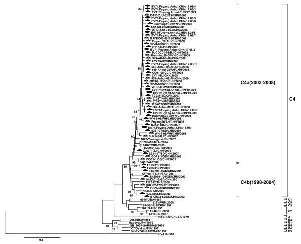 https://cdn.ncbi.nlm.nih.gov/pmc/blobs/a37c/2885340/28a44b39b238/1743-422X-7-94-2.jpg
