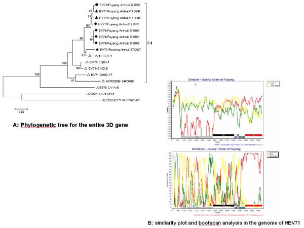 https://cdn.ncbi.nlm.nih.gov/pmc/blobs/a37c/2885340/92548ff92304/1743-422X-7-94-3.jpg
