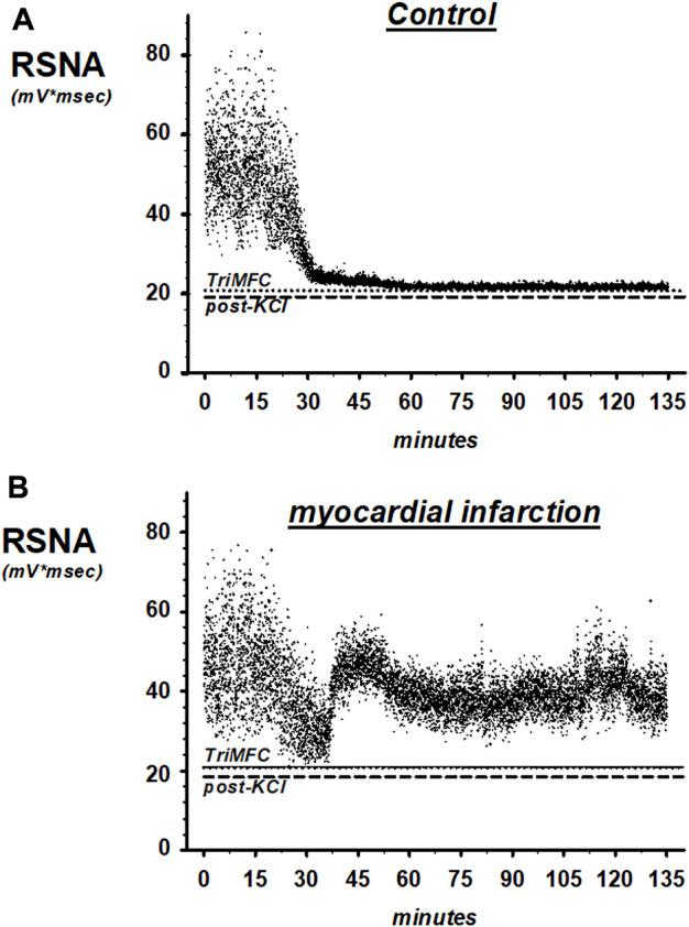 https://cdn.ncbi.nlm.nih.gov/pmc/blobs/a37d/10110856/0ae1175c16e3/fphys-14-1144620-g006.jpg