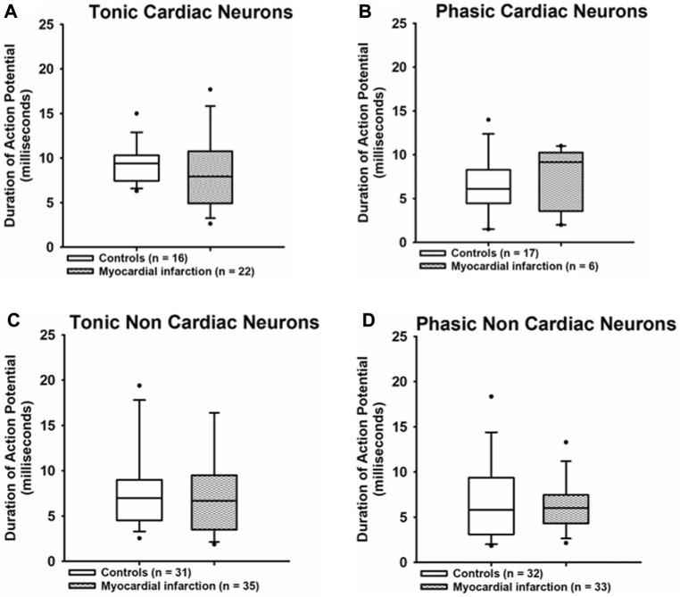 https://cdn.ncbi.nlm.nih.gov/pmc/blobs/a37d/10110856/ad3153bcfda8/fphys-14-1144620-g005.jpg