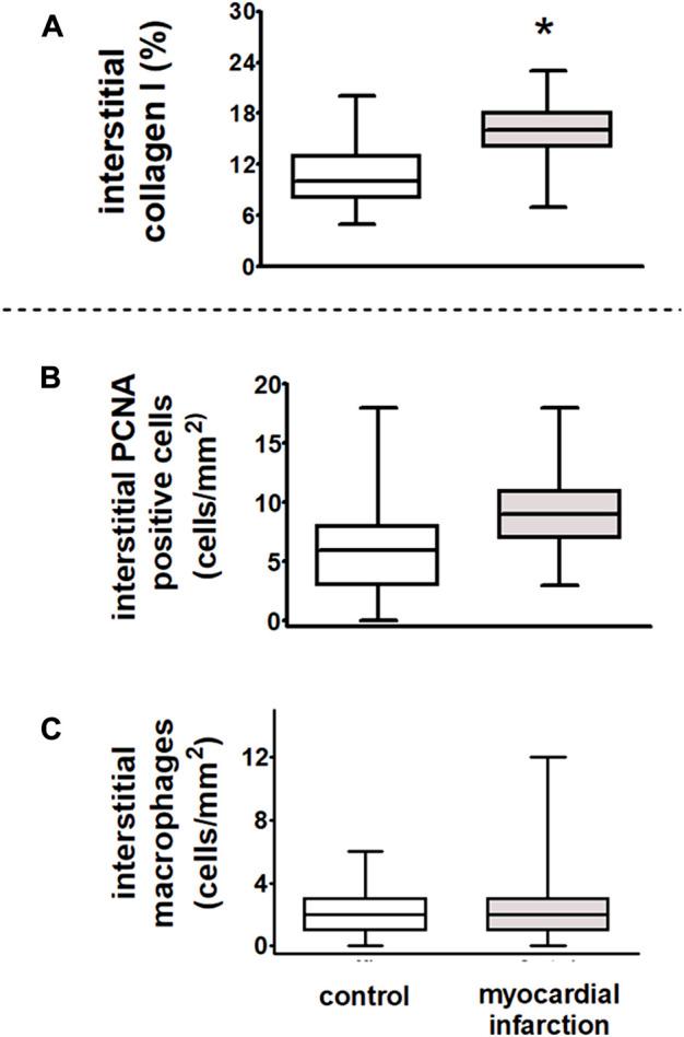 https://cdn.ncbi.nlm.nih.gov/pmc/blobs/a37d/10110856/f368155a88c1/fphys-14-1144620-g009.jpg