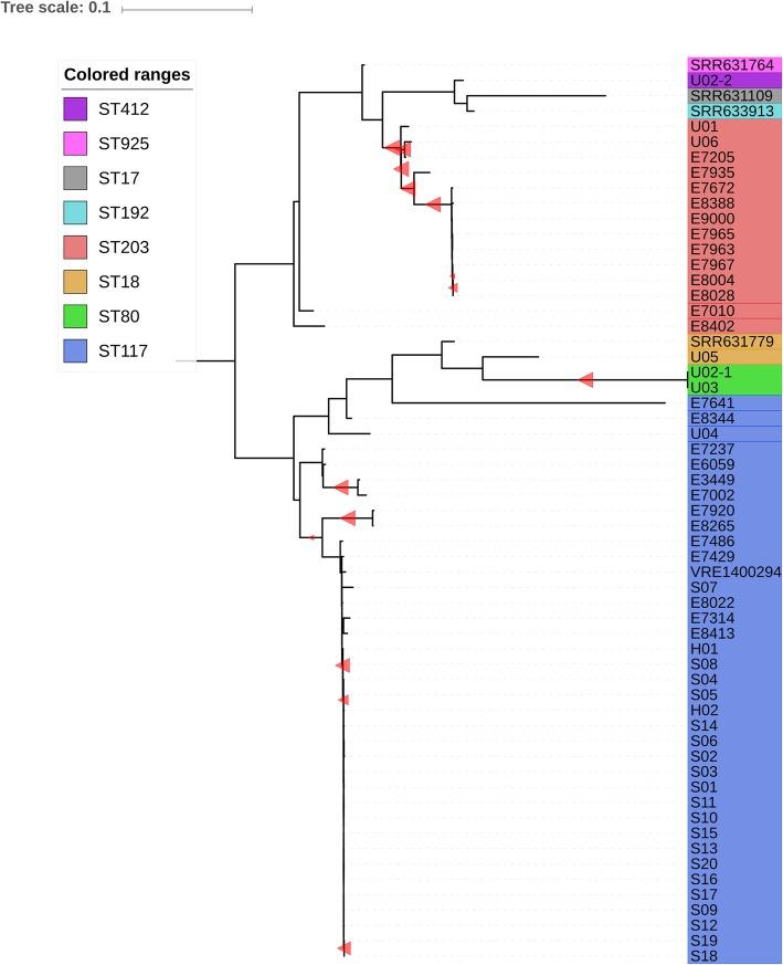 https://cdn.ncbi.nlm.nih.gov/pmc/blobs/a37d/6757385/87f38bb5c31f/13756_2019_604_Fig3_HTML.jpg