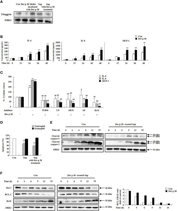 https://cdn.ncbi.nlm.nih.gov/pmc/blobs/a37e/8531521/11f8a1a5f968/fimmu-12-646316-g003.jpg