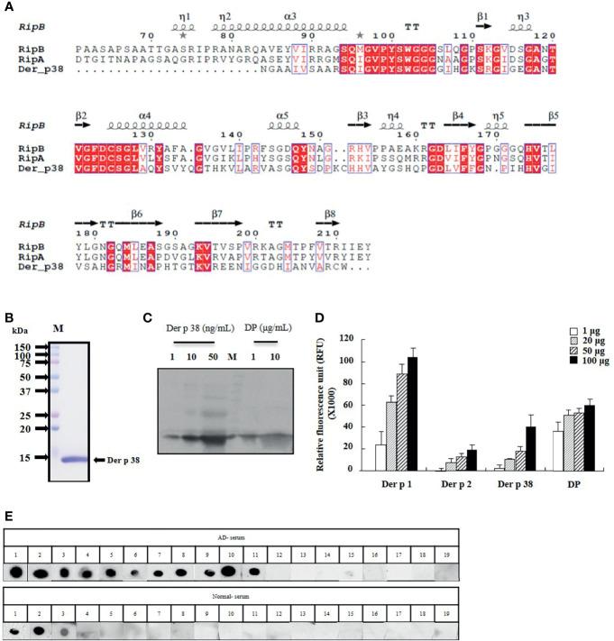 https://cdn.ncbi.nlm.nih.gov/pmc/blobs/a37e/8531521/240ed6833777/fimmu-12-646316-g001.jpg