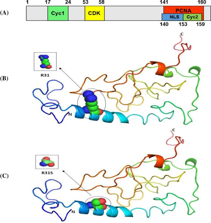 https://cdn.ncbi.nlm.nih.gov/pmc/blobs/a380/7822264/8e440e7eaecf/pone.0245133.g002.jpg