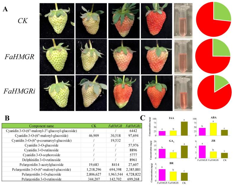 https://cdn.ncbi.nlm.nih.gov/pmc/blobs/a382/11988353/82fa0efe05fa/foods-14-01199-g002.jpg