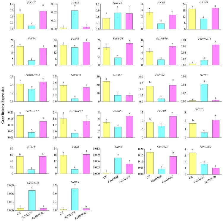 https://cdn.ncbi.nlm.nih.gov/pmc/blobs/a382/11988353/b99c27947360/foods-14-01199-g004.jpg