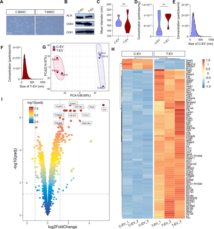 https://cdn.ncbi.nlm.nih.gov/pmc/blobs/a383/12313965/106c1024fb38/mmcfigs2.jpg