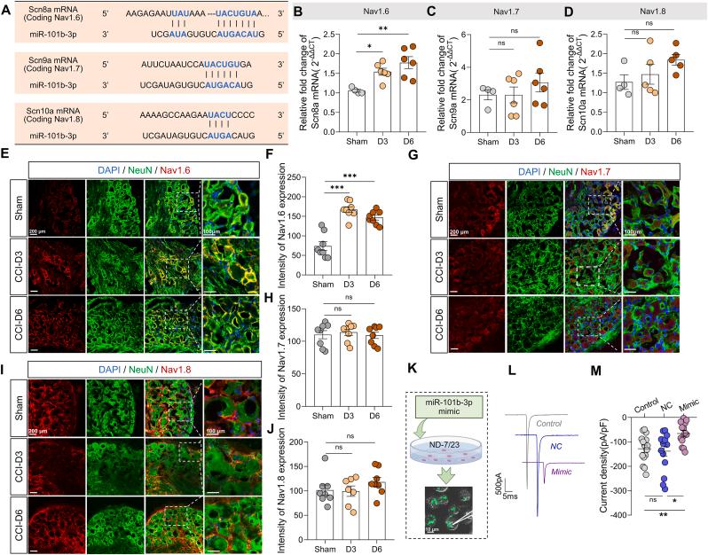 https://cdn.ncbi.nlm.nih.gov/pmc/blobs/a383/12313965/50bbc3b1d8bb/gr5.jpg