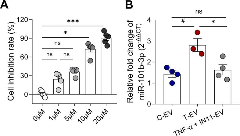 https://cdn.ncbi.nlm.nih.gov/pmc/blobs/a383/12313965/56393538f641/mmcfigs10.jpg