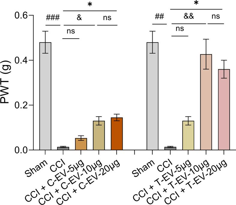 https://cdn.ncbi.nlm.nih.gov/pmc/blobs/a383/12313965/577a70a5f066/mmcfigs4.jpg