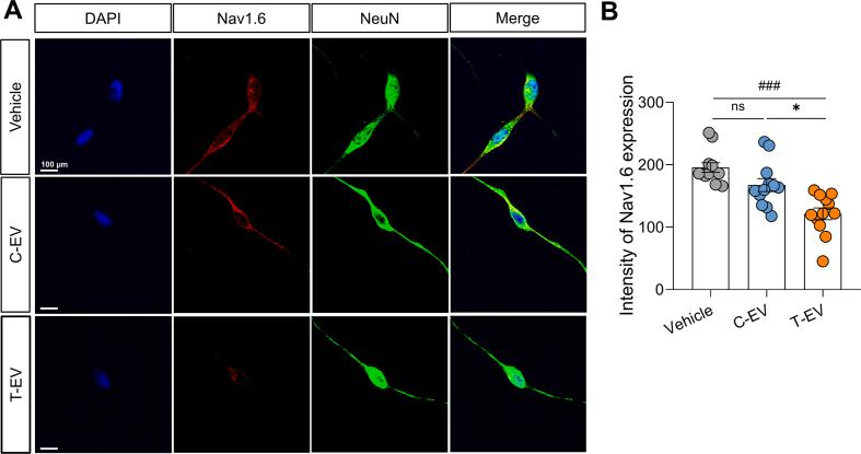 https://cdn.ncbi.nlm.nih.gov/pmc/blobs/a383/12313965/6f1a840b1d9a/mmcfigs13.jpg