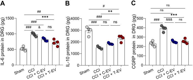https://cdn.ncbi.nlm.nih.gov/pmc/blobs/a383/12313965/7e2a37fcc80b/mmcfigs6.jpg