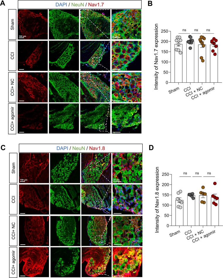 https://cdn.ncbi.nlm.nih.gov/pmc/blobs/a383/12313965/9c56a063916f/mmcfigs12.jpg