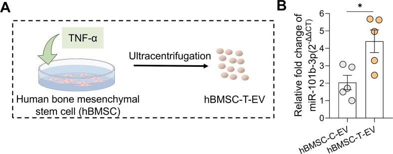 https://cdn.ncbi.nlm.nih.gov/pmc/blobs/a383/12313965/b037bbf541ff/mmcfigs9.jpg