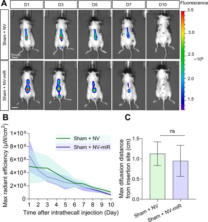 https://cdn.ncbi.nlm.nih.gov/pmc/blobs/a383/12313965/bfecda98f437/mmcfigs18.jpg